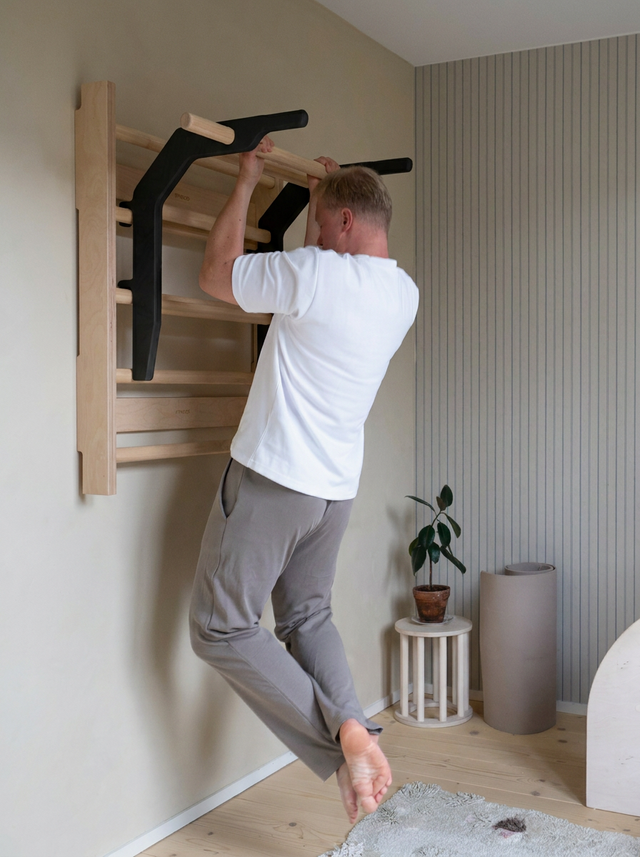 OKSA pull-up bar & dip station | black - birch